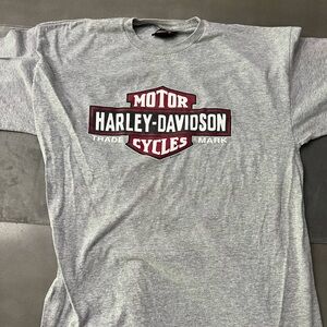 Harley-Davidson Gray T-Shirt for Men